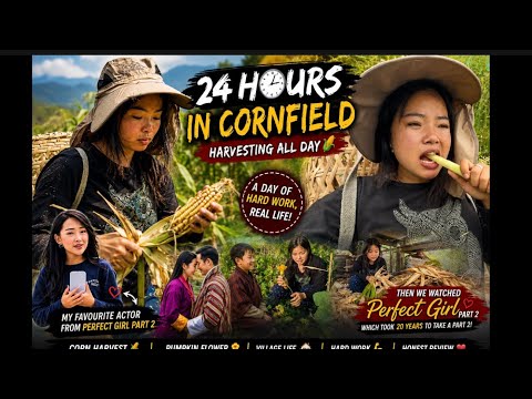 24 Hours in the Cornfield Harvesting All Day Then We Watched The Perfect Girl Part 2 After 20 Years!