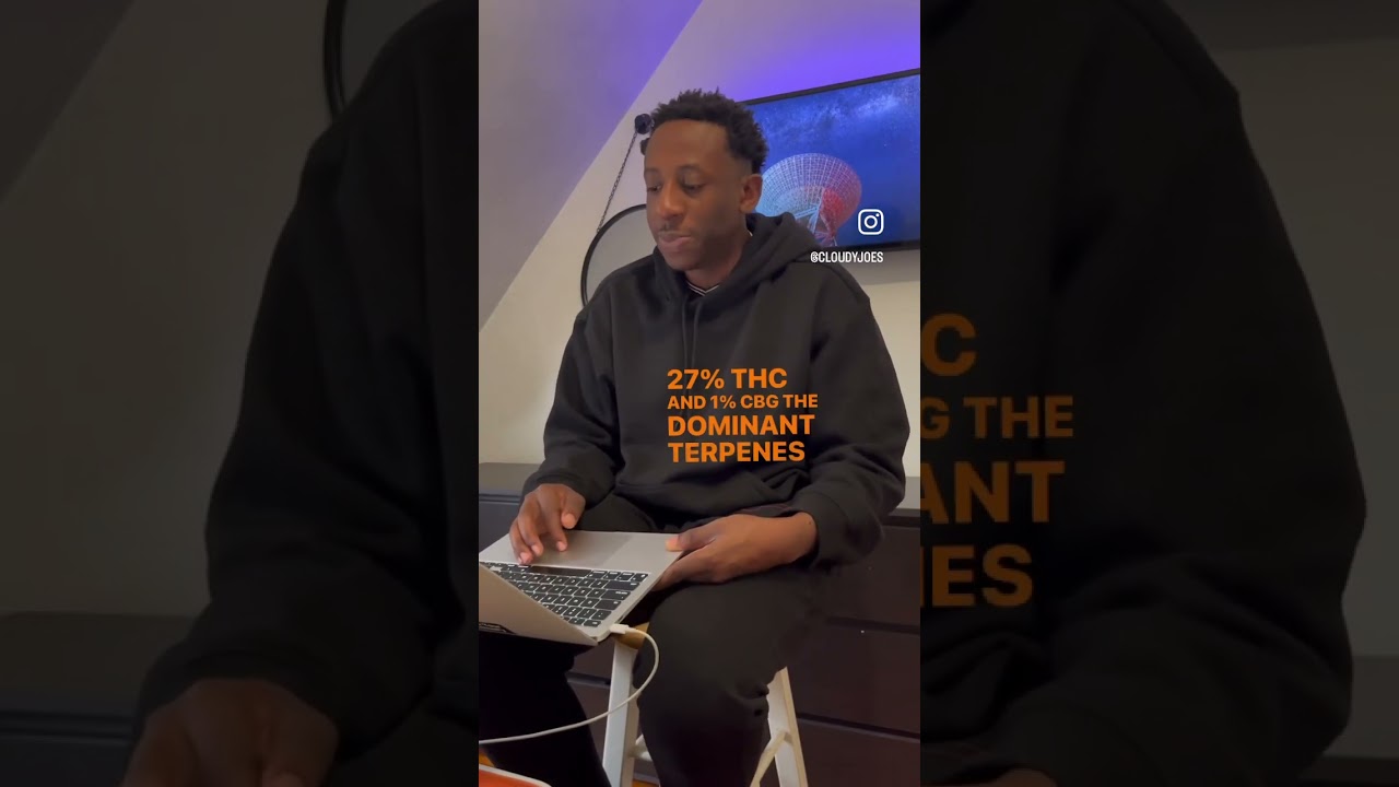 Orange Mojito full strain review on my channel right now 🔥