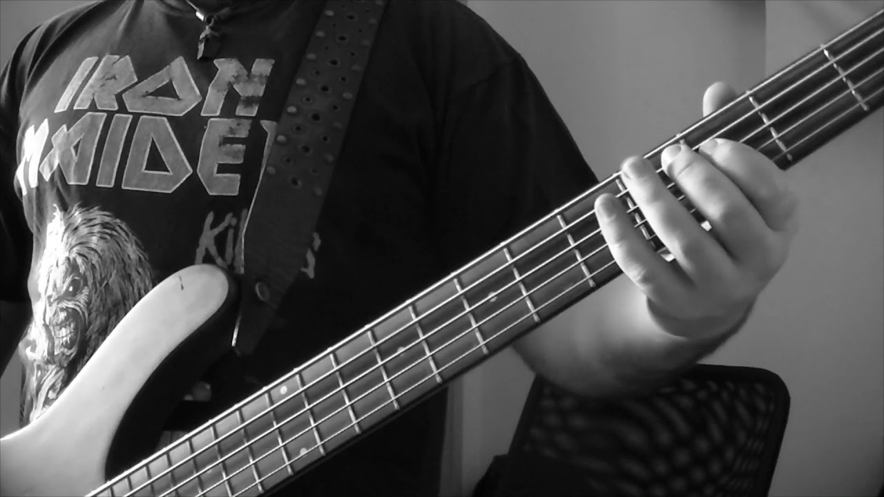 Steel Panther - Asian hooker bass cover