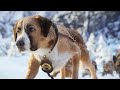 Best action movies 2021  brave dog  best hollywood action movie of all time 2021