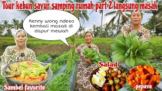 KEADAAN KEBUNKU SETELAH DITINGGAL LIBURAN 2 MINGGUAN‼️Panen sayur langsung di masak menu favorite