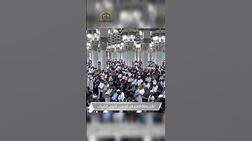 آيات مخيفة وأحوال رهيبة { وبينهما حجاب } ~ تلاوة خاشعة للشيخ عبدالله القرافي
