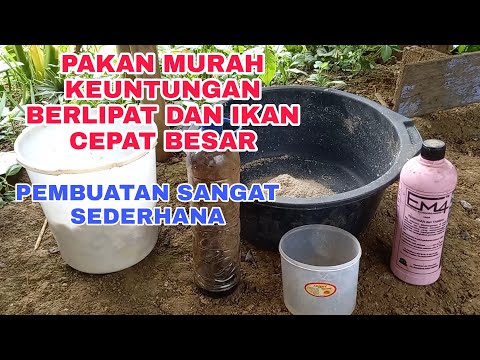 Video: Petunjuk Cara Membuat Rumah Hummingbird