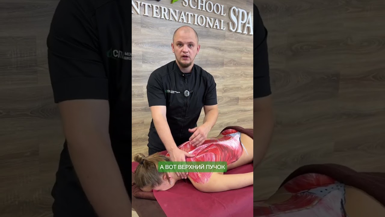 Секреты массажа для снятия зажатости плеч