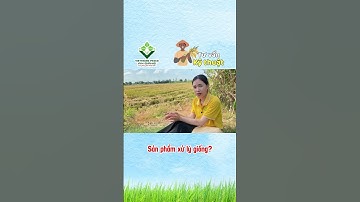 🌾Sản phẩm xử lý giống? #nongnghiep #viettrungangiang
