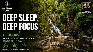Deep Sleep, Deep Focus • 10 Hours of Gentle Forest Green Noise (Conwy Falls, Wales)