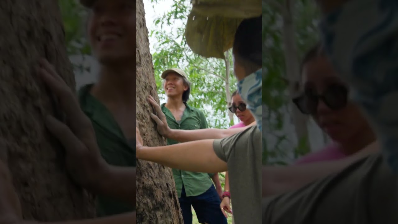 Wonderfruit - Rewilding The Fields