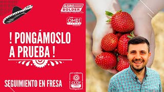 SQ2 vs la pestalotia, comparativo contra ácido hipocloroso, un peligroso Biocida!