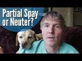 Partial Spay and Neuter for Dogs. Is it Safer?