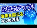 【記憶力アップ】脳の「海馬」を鍛えるシンプルな４つの方法