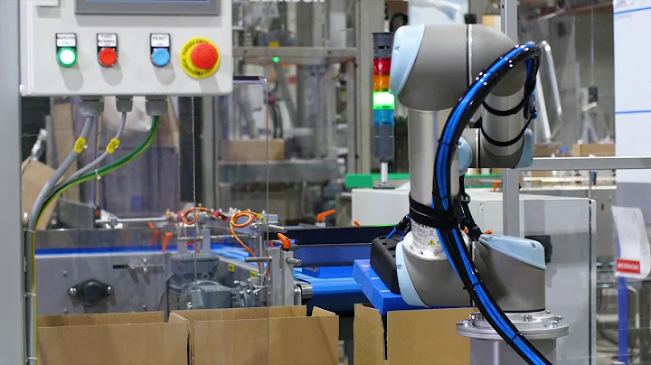 Collaborative Robotics - Complete end-of-line solution: Casepacking and Palletizing