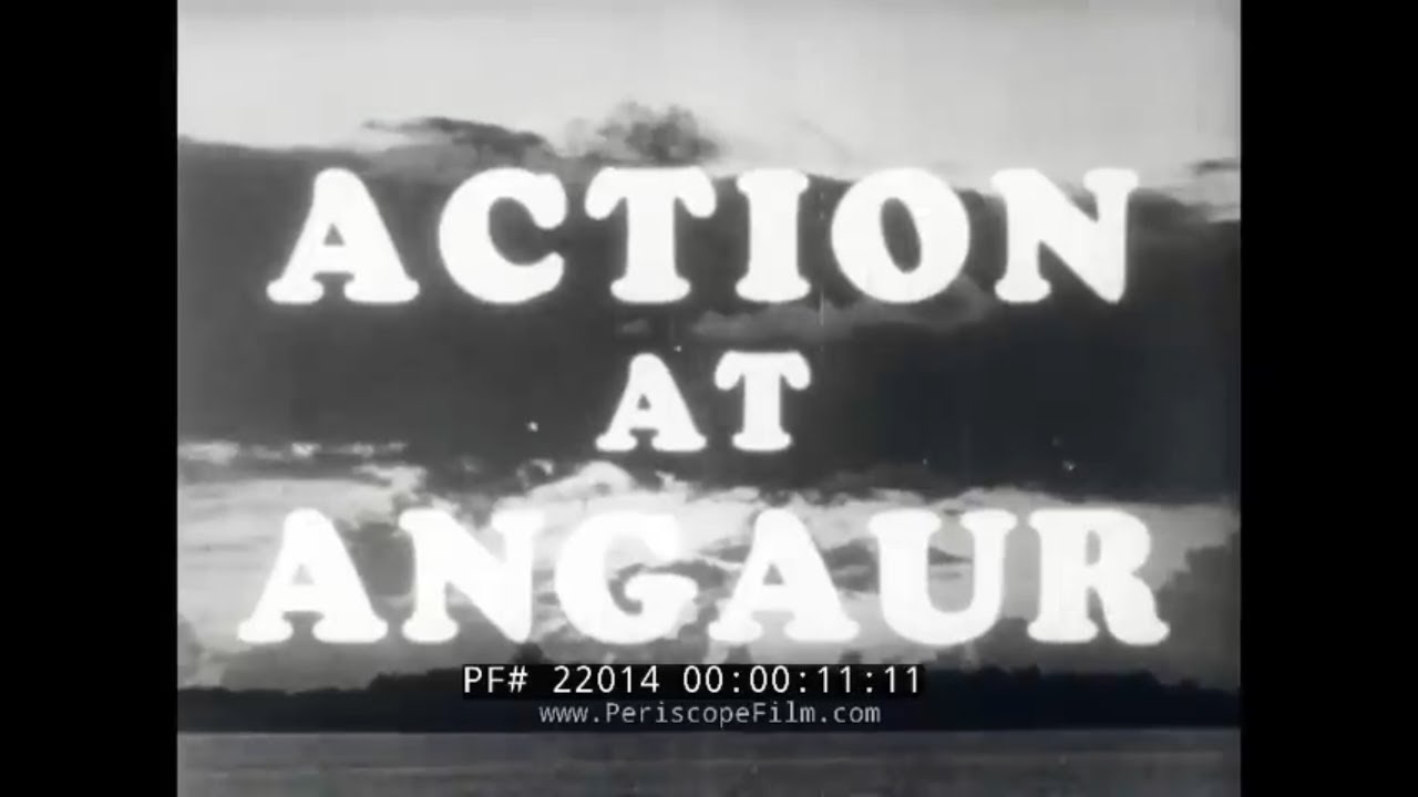 "ACTION AT ANGUAR"  1944 INVASION OF ANGUAR ISLAND, PALAU    81st INFANTRY DIVISION   WWII   22014