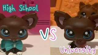 LPS- High School VS University