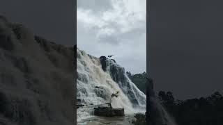 Hidden Gem Waterfall! 🌊 Amazing Multi-Tiered Cascades