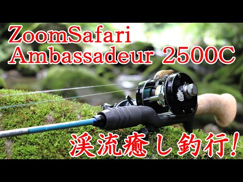 渓流ルアーフィッシング】ズームサファリとアンバサダー2500Cの