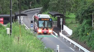 JR大船渡線BRT　大船渡丸森駅　JR Ōfunato Line (BRT) Ōfunatomarumori Station　(2020.8)