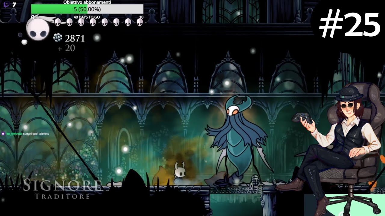 Hollow Knight (Blind Run) 25 I Giardini della Regina YouTube