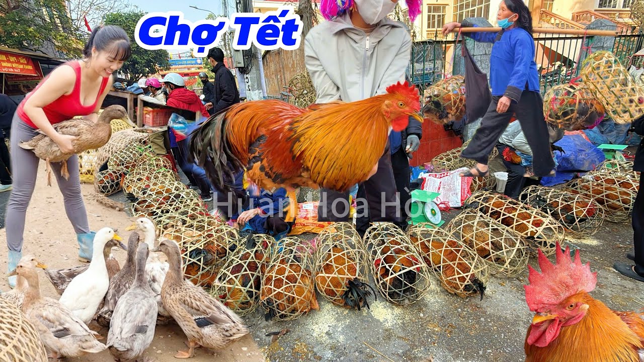 phiên Chợ TẾT Cuối Năm ở Lạng Sơn, Hàng Nghìn Người Mang Gà Trống Thiến Ra Chợ Bán, Tranh Nhau Mua