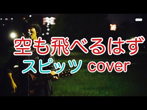 空も飛べるはず　　スピッツ（spitz）　弾き語り　カバー／浅井しんや