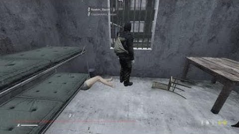 DayZ Interrogation