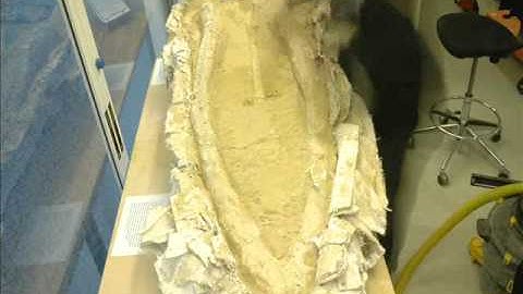 Fossil Preparation: A Whale at the San Diego Zoo