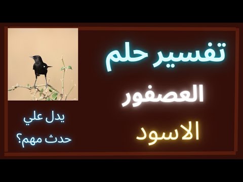 تفسير رؤية العصفور ذات اللون الأسود في المنام المتزوجه العزباء الحامل المطلقه رجل