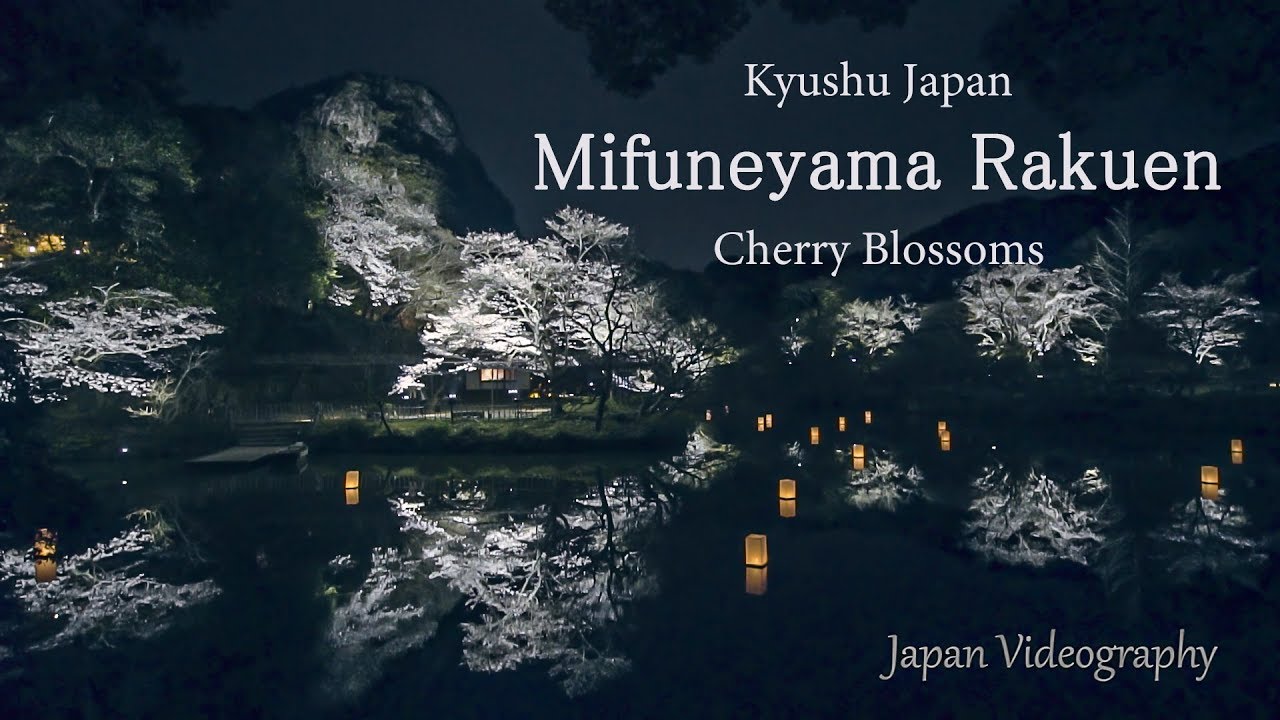 4k Mifuneyama Rakuen 御船山楽園 花まつり 九州最大の夜桜ライトアップ Night Cherry Blossoms In Saga Japan 佐賀県武雄温泉 日本の風景 Youtube