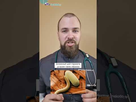 Как совместить лечение