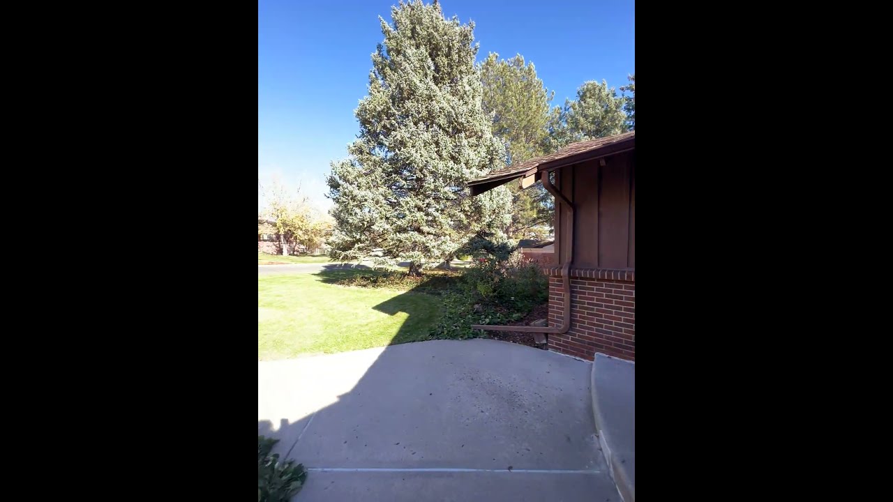 IMG 3748