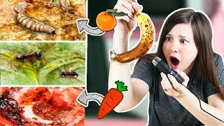 ЧЕРВЯКИ В ЕДЕ!🤮ПРОДУКТЫ ПОД МИКРОСКОПОМ! МОРКОВКА С ГЛИСТАМИ! (не кликбейт)