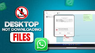 Can't Download Files from WhatsApp on PC or Laptop | Fix WhatsApp Desktop Download Issues screenshot 1