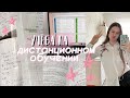 УЧЁБА НА ДИСТАНЦИОННОМ ОБУЧЕНИИ // МОЙ ПРОДУКТИВНЫЙ ДЕНЬ // STUDY WITH ME