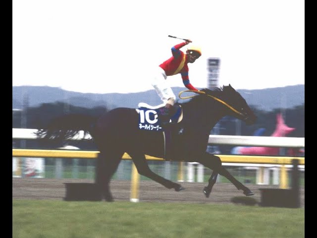 AVANTI Sサイズ 第14回ジャパンカップ マーベラスクラウン マーベラスクラウン - Wikipedia