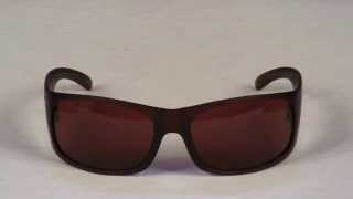 Kaenon Jetty Sunglasses Review at Surfboards.com