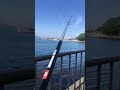6月初釣り🎣何か釣れますように🤗in沼津