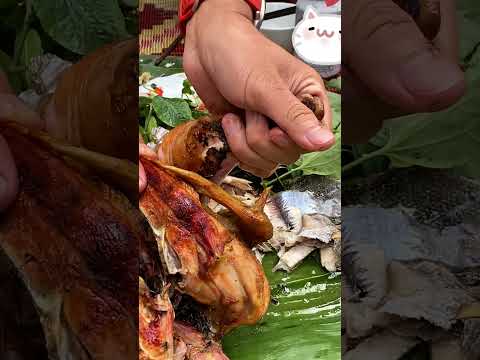 Cuộc sống đồng quê - đón khách quý #caođàitổng #fishing #caucathugian
