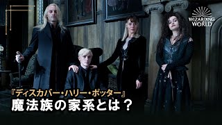 【ディスカバー・ハリー・ポッター】魔法族の家系とは？