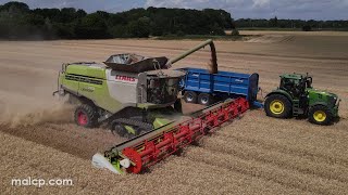Harvest 2022: Claas Lexion 770 TT harvesting wheat near Bentwaters in Suffolk.