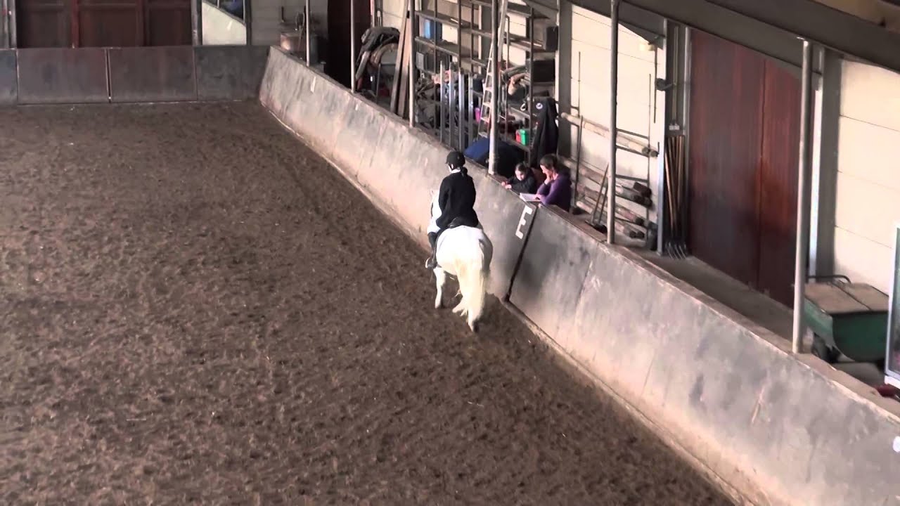 Anne Griffioen Manege Bleijenberg FNRS proeven 2015-03-08