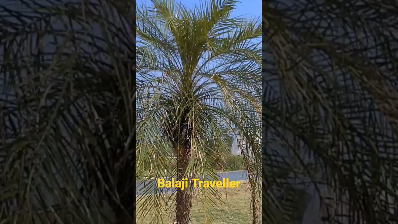 Kakinada beach park, NTR Beach 