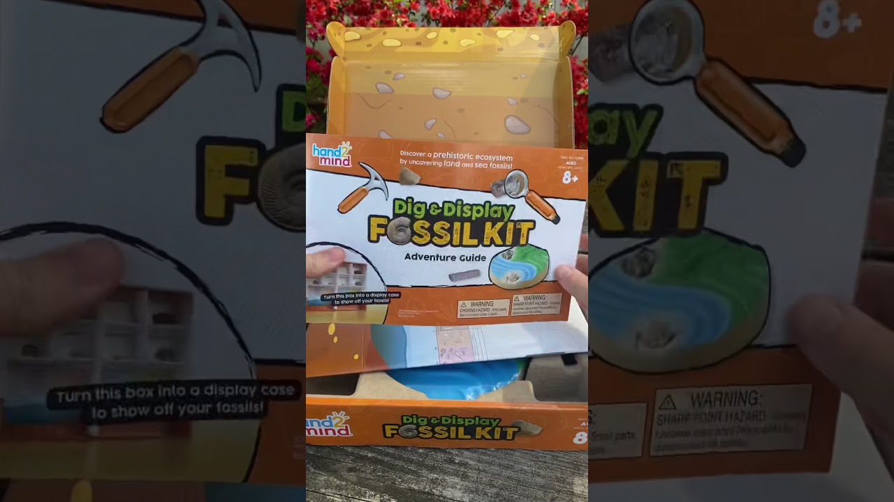 Dig & Display Fossil Kit by Hands2Mind Homeschooling Supplemental Resources DIY STEM Project