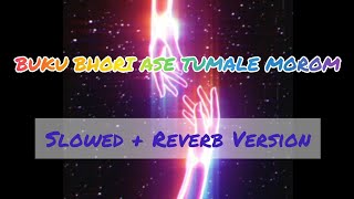 Video thumbnail of "BUKU BHORI ASE TUMALE MOROM (FULL SLOWED + REVERB) || MOUSOM GOGOI || @_MiniCarry_ FT. EDITVIBEZXN"