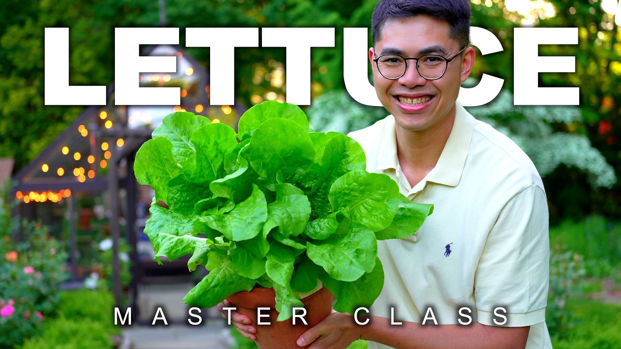 How to Grow Lettuce Year Round: Start to Finish