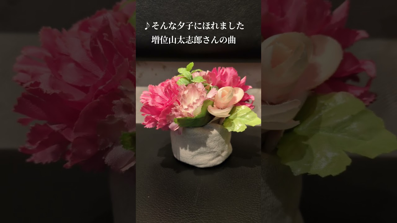 ♪『そんな夕子にほれました』増位山太志郎さんの曲（1974年）昨年6月増位山さん、作詞された海老名香葉子さんが12月他界されました💐お二人のご冥福を心よりお祈りいたします！