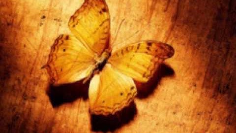 اواخر سورة الحشر - للقارىء تركي الرميح لعام 1430هـ