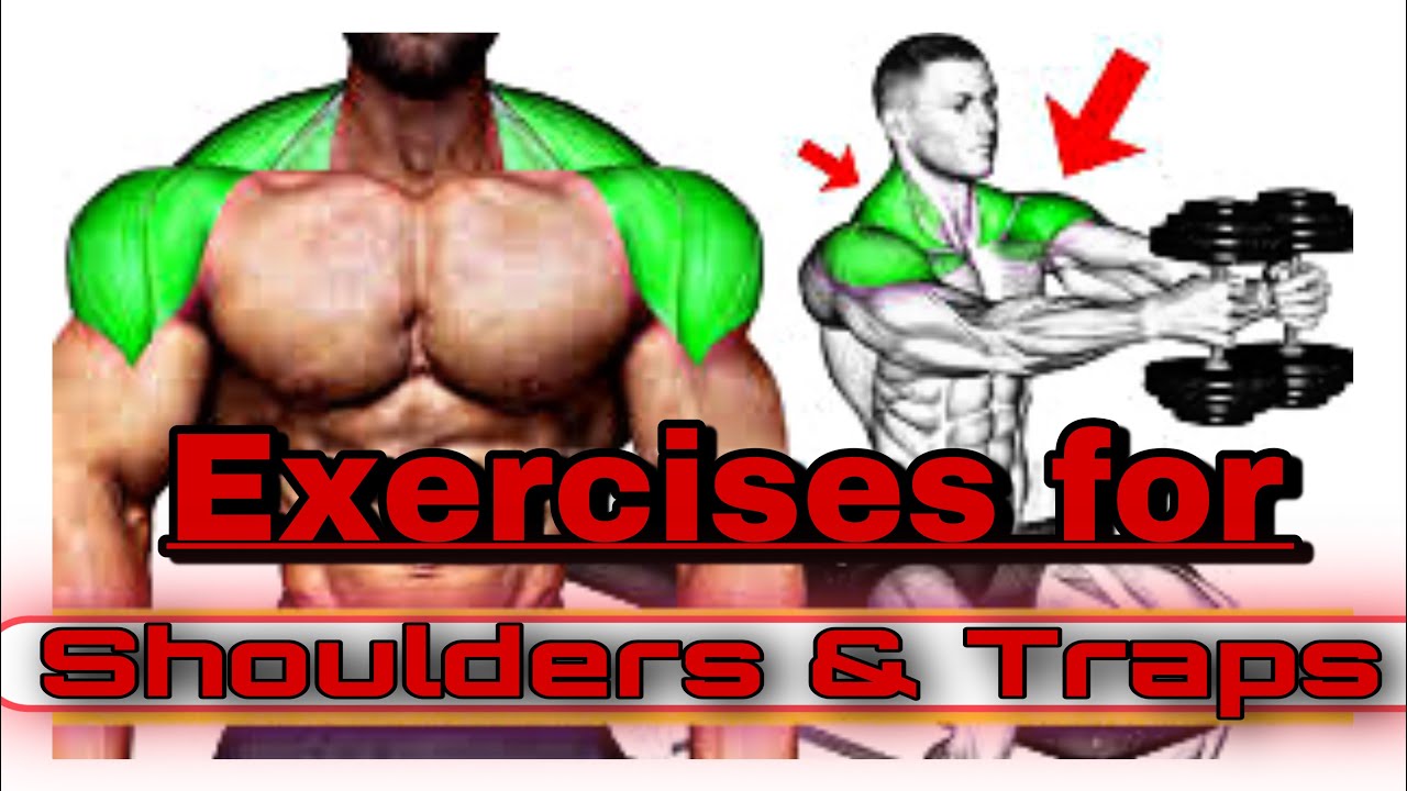 7 Best Exercises for Shoulders and Traps YouTube