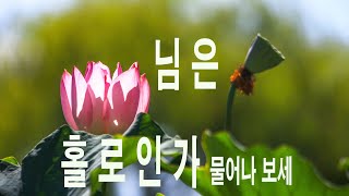 님은 홀로인가 물어나 보세/Let me ask you if you are alone //Photo and Poetry Healing Music/ screenshot 5