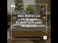 Was zum Lachen Part 23 #foryou #viral #humor #funny #lustig #viralesvideo #lustigebilder