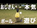 【116】おじさんが本気でボール遊びした結果がこちらです。