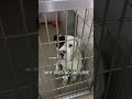 They Miss Being Loved...